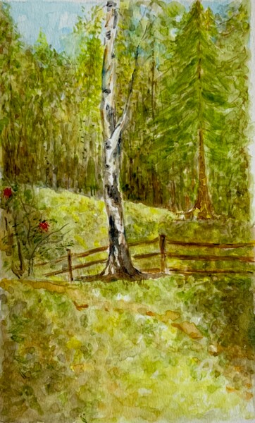 Pintura intitulada "Birch" por Olga Liutova-Amplatz, Obras de arte originais, Aquarela