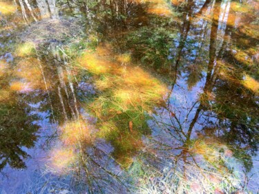 Photographie intitulée "sun in the forest" par Olga Liutova-Amplatz, Œuvre d'art originale, Light Painting