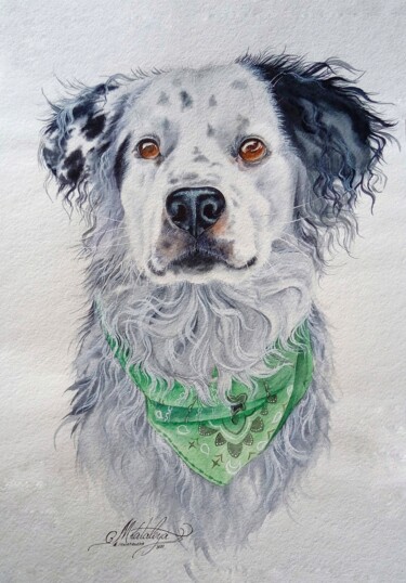 Painting titled "Portrait of a pet b…" by Olga Matyunina, Original Artwork, Watercolor