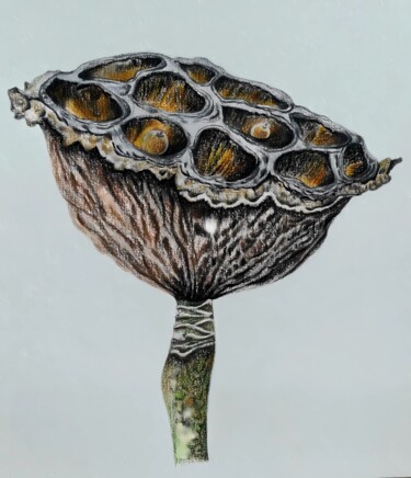Peinture intitulée "Lotus" par Olga Poruchikova, Œuvre d'art originale, Crayon