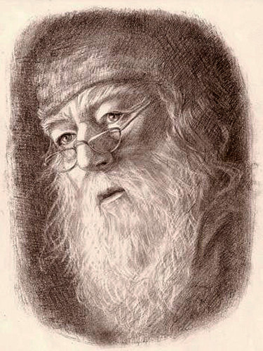 Tekening getiteld "Dumbledore" door Olga Shevchenko, Origineel Kunstwerk, Grafiet