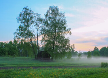 Фотография под названием "Summer landscape wi…" - Olga Strogonova, Подлинное произведение искусства, Цифровая фотография