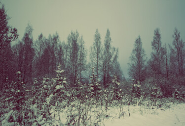 Fotografia zatytułowany „Winter twilight” autorstwa Olga Strogonova, Oryginalna praca, Fotografia cyfrowa