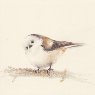 제목이 "046 Bird"인 그림 Olga Trifonova로, 원작, 연필