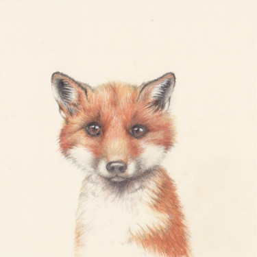 Desenho intitulada "04 Fox" por Olga Trifonova, Obras de arte originais, Lápis