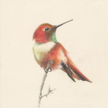 Zeichnungen mit dem Titel "019 Hummingbird" von Olga Trifonova, Original-Kunstwerk, Bleistift