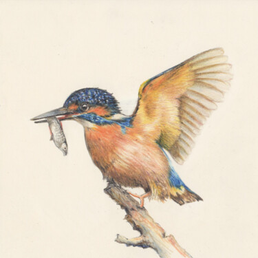 Drawing titled "018 Bird" by Olga Trifonova, Original Artwork, Pencil