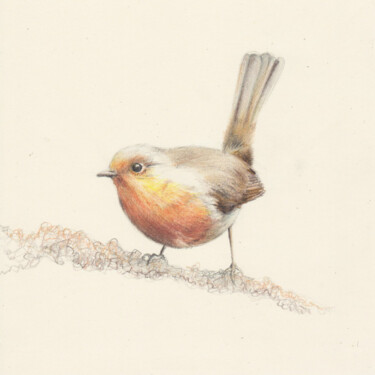 제목이 "049 Bird"인 그림 Olga Trifonova로, 원작, 연필