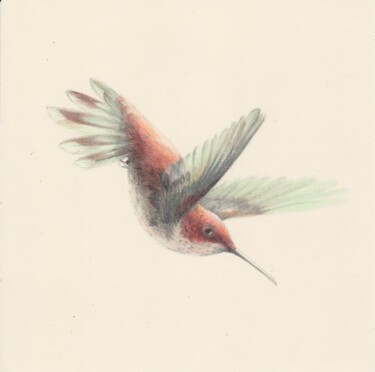 Drawing titled "067 The Bird" by Olga Trifonova, Original Artwork, Pencil