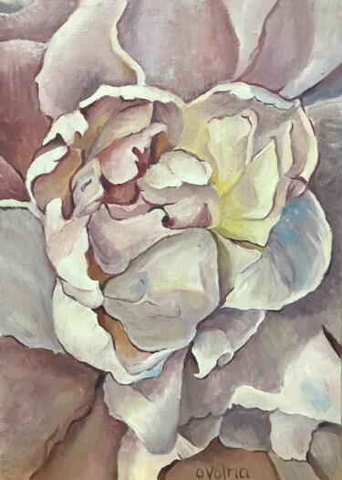 Painting titled "White Peony" by Olga Volna, Original Artwork, Oil