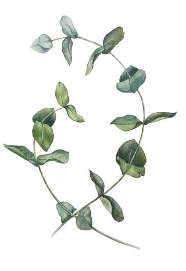 Malerei mit dem Titel "Eucalyptus" von Olha Mosuzenko, Original-Kunstwerk, Aquarell