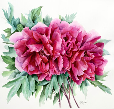 Schilderij getiteld "Paeonia officinalis" door Olha Riabokon, Origineel Kunstwerk, Aquarel