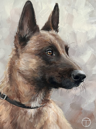 Malarstwo zatytułowany „Belgian Shepherd #3” autorstwa Olia Tomkova, Oryginalna praca, Akryl