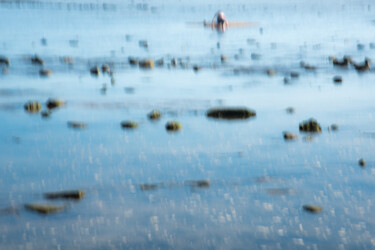 Photographie intitulée "Oasis.jpg" par Olive, Œuvre d'art originale, Photographie numérique