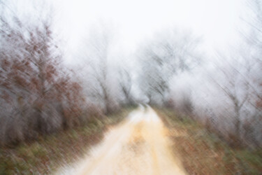Photographie intitulée "Chemin des crécelle…" par Olive, Œuvre d'art originale, Photographie numérique