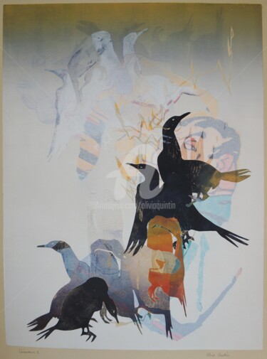 Εκτυπώσεις & Χαρακτικά με τίτλο "cormorans 2" από Olivia Quintin, Αυθεντικά έργα τέχνης, Χαρακτική