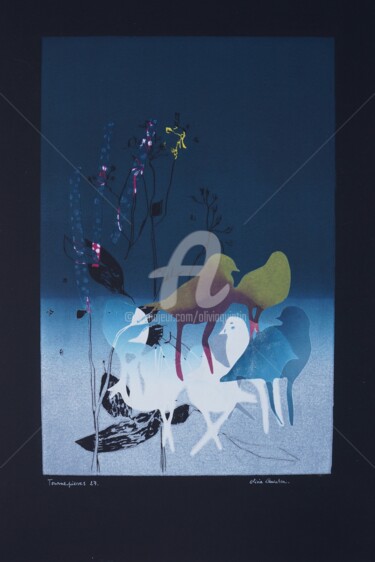 Gravures & estampes intitulée "Tournepierres 27" par Olivia Quintin, Œuvre d'art originale, Gravure
