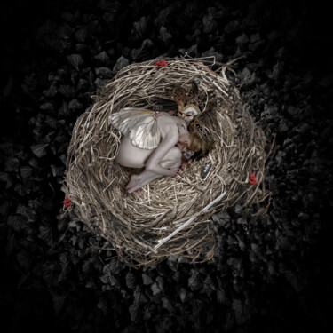Arte digitale intitolato "The Nest" da Olivier Gros, Opera d'arte originale, Fotomontaggio