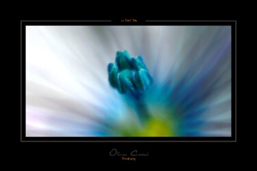 Photography titled "Le Pistil Bleu" by Ollivier Cacaud, Original Artwork, Digital Photography