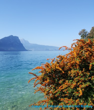 Photographie intitulée "SEE LIEBE KRAFT" par Omsurya Sandra Inti Ruphay, Œuvre d'art originale