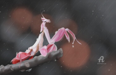 Цифровое искусство под названием "Orchidée" - Opinoy, Подлинное произведение искусства, Цифровая живопись