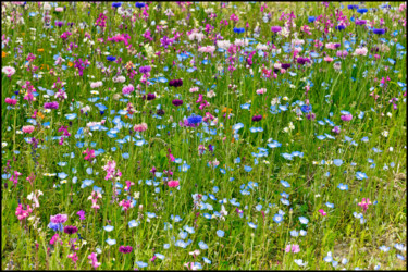 Fotografia intitolato "Prairie en folie." da Alain Brasseur, Opera d'arte originale