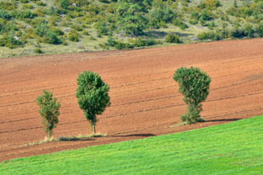 Fotografia zatytułowany „Paysage champêtre.…” autorstwa Alain Brasseur, Oryginalna praca