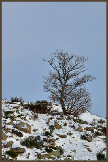 Fotografia zatytułowany „Le bel hiver.....116” autorstwa Alain Brasseur, Oryginalna praca