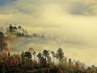 Fotografía titulada "Brumes matinales 12" por Alain Brasseur, Obra de arte original