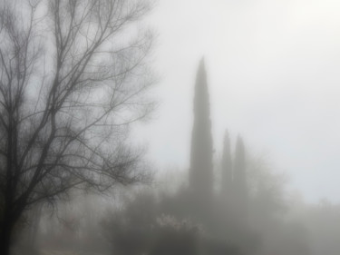Fotografia intitolato "Brouillard" da Alain Brasseur, Opera d'arte originale