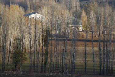 Fotografia zatytułowany „ağaçlar arasında ka…” autorstwa Orhan Güldeste, Oryginalna praca, Fotografia nie manipulowana