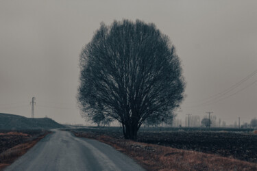 Fotografia intitolato "tree" da Orhan Güldeste, Opera d'arte originale, Fotografia manipolata