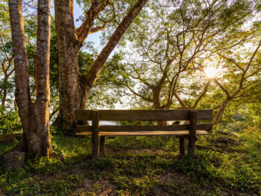 Fotografia zatytułowany „Banco na floresta” autorstwa Ori Junior, Oryginalna praca, Fotografia cyfrowa Zamontowany na Drewni…