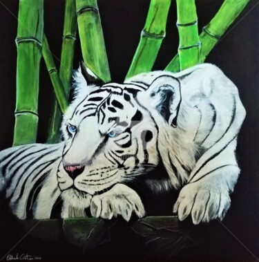 Painting titled "Tigre bianca" by Orlando Cristiani, Original Artwork, Acrylic