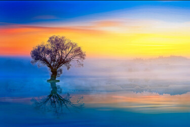 Цифровое искусство под названием "lone tree sunset" - Melih Ortatepe, Подлинное произведение искусства, Цифровая живопись