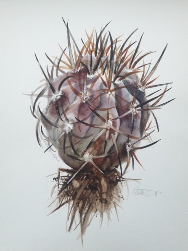 Painting titled "Cactus Copiapoa Dura" by Oscar Torres Perez, Original Artwork, Watercolor