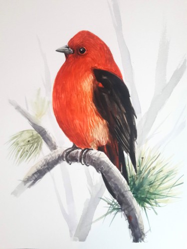 Painting titled "Oiseau tropical" by Oscar Torres Perez, Original Artwork, Watercolor
