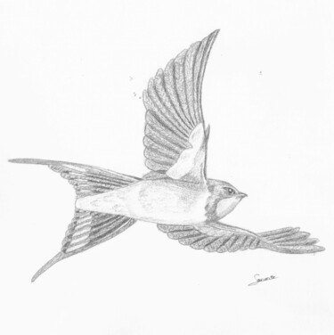 Zeichnungen mit dem Titel "Flying" von P. Le Sommer, Original-Kunstwerk, Graphit
