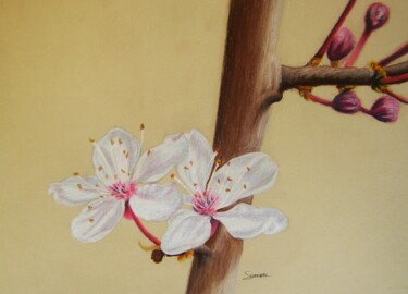 Dibujo titulada "Fleurs de cerisier" por P. Le Sommer, Obra de arte original, Pastel