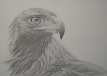 Desenho intitulada "Eagle" por P. Le Sommer, Obras de arte originais, Grafite