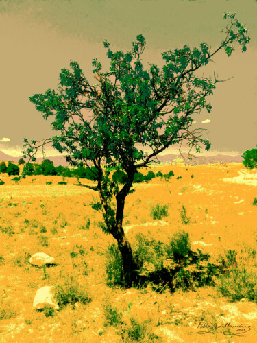 Фотография под названием "Free Nature-3" - Pablo Guillamon, Подлинное произведение искусства, Цифровая фотография