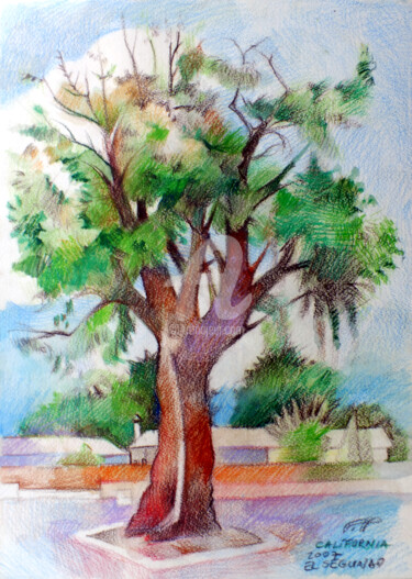 Painting titled "El Segundo" by Filip Mihail, Original Artwork, Watercolor