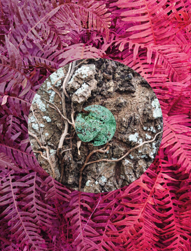 Photographie intitulée "Nature Circle #4" par Pascal Carro (PKRO), Œuvre d'art originale, Photographie manipulée