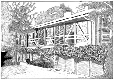 Dessin intitulée "Maison (a)typique D…" par Pascal Tavarner, Œuvre d'art originale, Encre