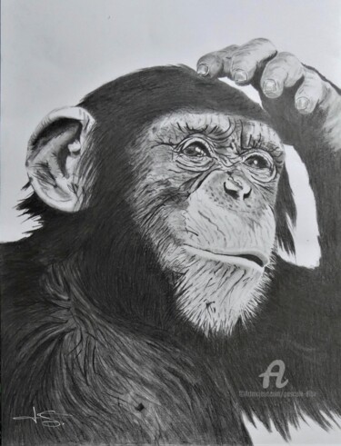 Dessin intitulée "En mode réflexion" par Pascale Scheip, Œuvre d'art originale, Graphite