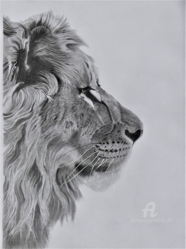 Desenho intitulada "Le Lion," por Pascale Scheip, Obras de arte originais, Grafite