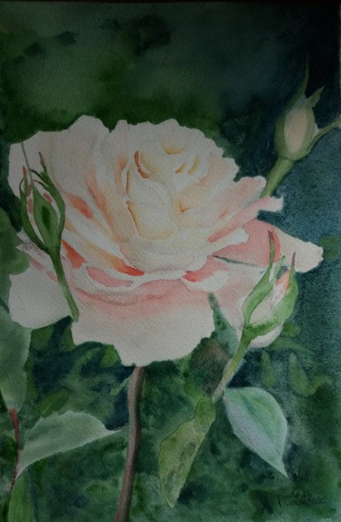 Pittura intitolato "Rose Thé" da Pascale Coutoux, Opera d'arte originale, Acquarello