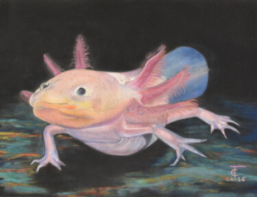 "Axolotl" başlıklı Resim Pastels Et Velours tarafından, Orijinal sanat, Pastel Karton üzerine monte edilmiş