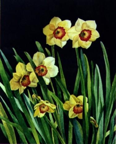 Peinture intitulée "Daffodils" par Tatiana Kremlev (Chvetsova), Œuvre d'art originale, Huile