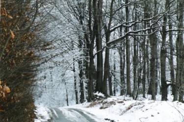 Fotografie getiteld "Bois de Frasnes (Be…" door Pato Van Hecke, Origineel Kunstwerk